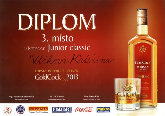 Labský pohár 2013