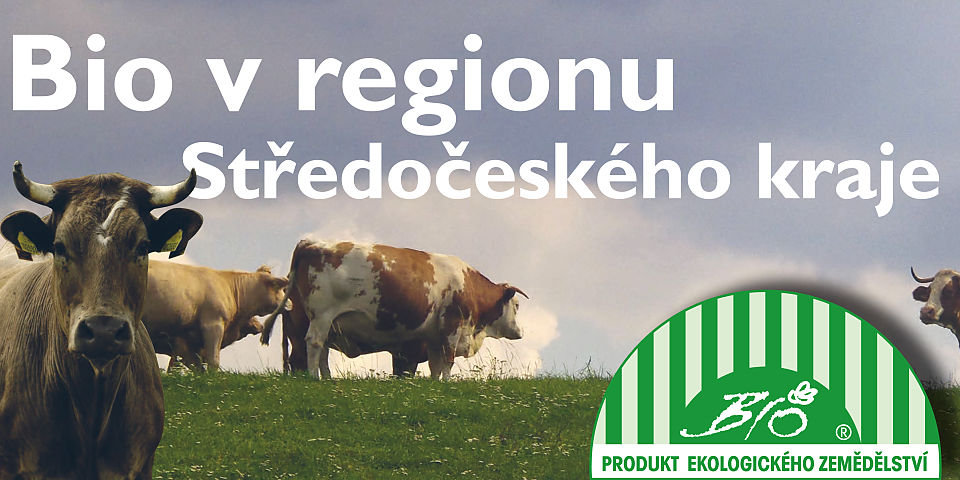 bio-v-regionu.png
