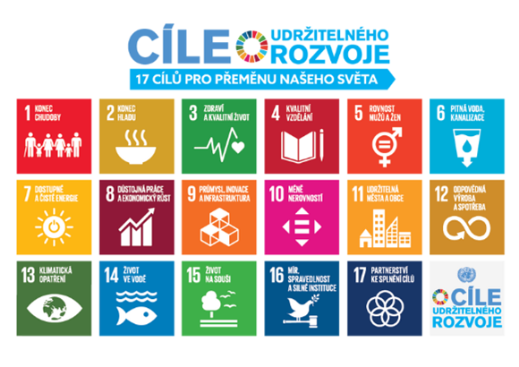 Koordinátoři environmentální výchovy na naší škole