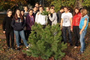 Sázení stromu během projektu 72 hodin